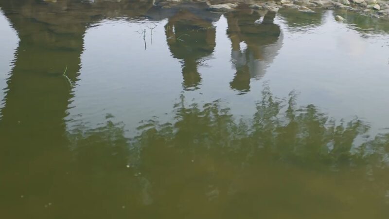 Two figures reflected upside down in still green water.